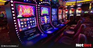pvip - Plataforma Login Bet